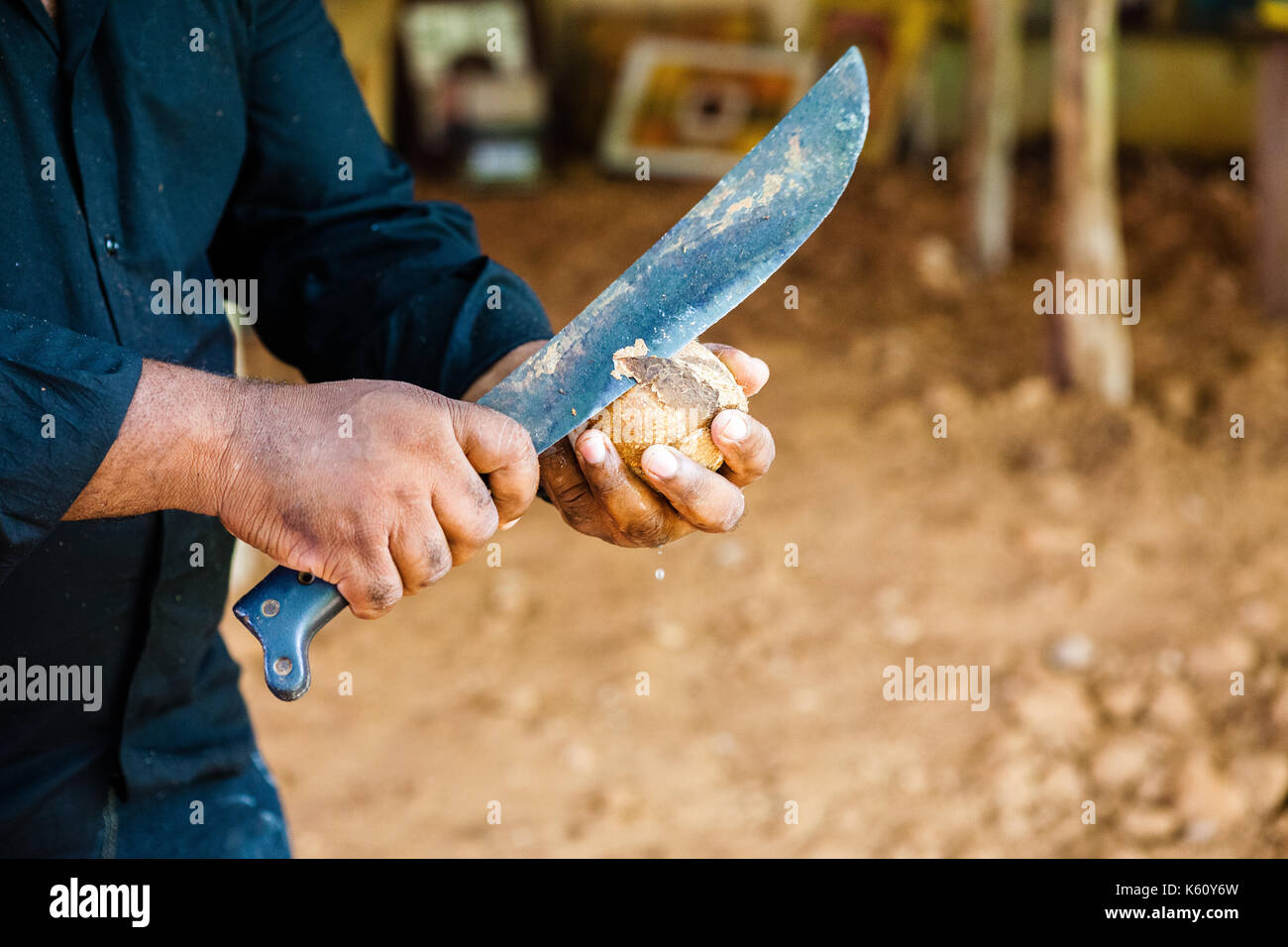 Ouverture d'une coconout avec un gros couteau Banque D'Images