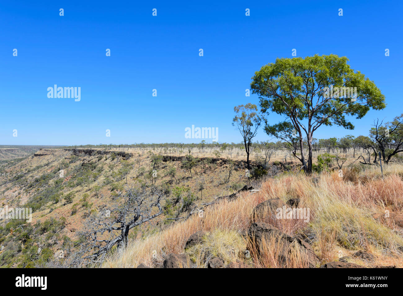 Vue sur le Parc National de la Gorge de porc-épic, Queensland, Queensland, Australie Banque D'Images