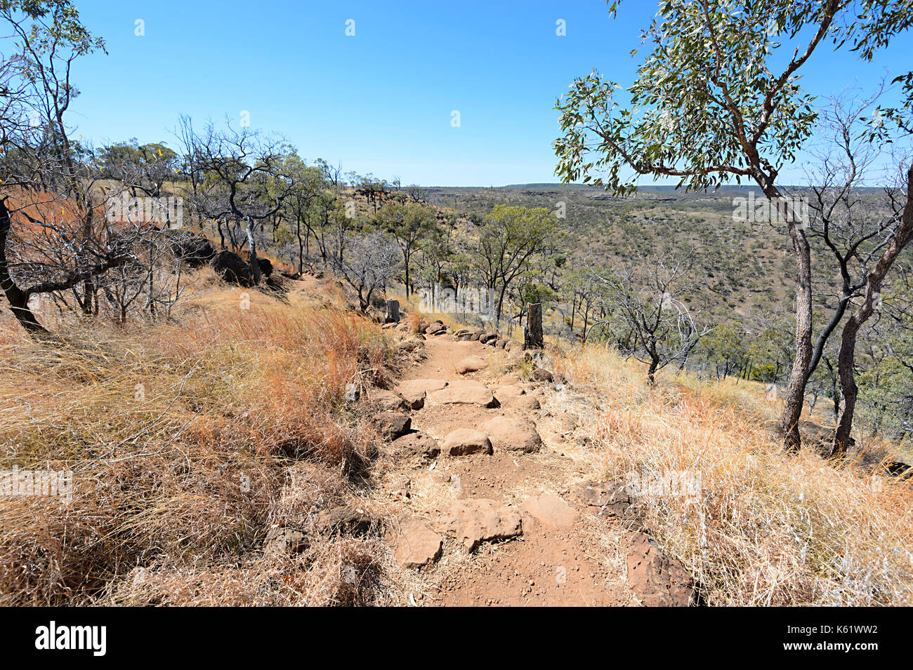 Piste de marche menant à la gorge, dans le Parc National de la Gorge de porc-épic, Queensland, Queensland, Australie Banque D'Images