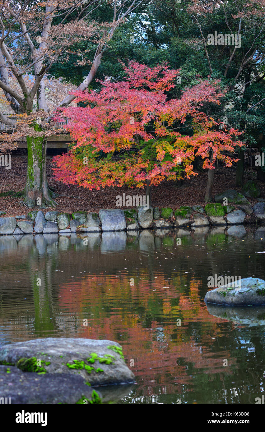 Paysage du jardin japonais à l'automne à Nara, Japon, Kansai, Nara. était la capitale du Japon de 710 à 794. Banque D'Images