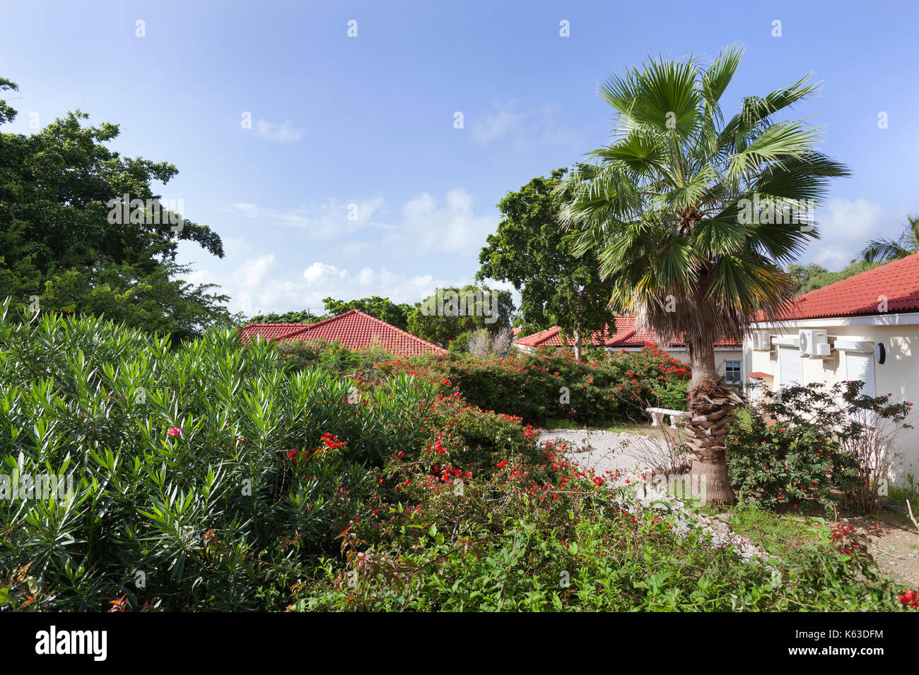 Appartement et jardin toits d'une station sur Curacao Banque D'Images