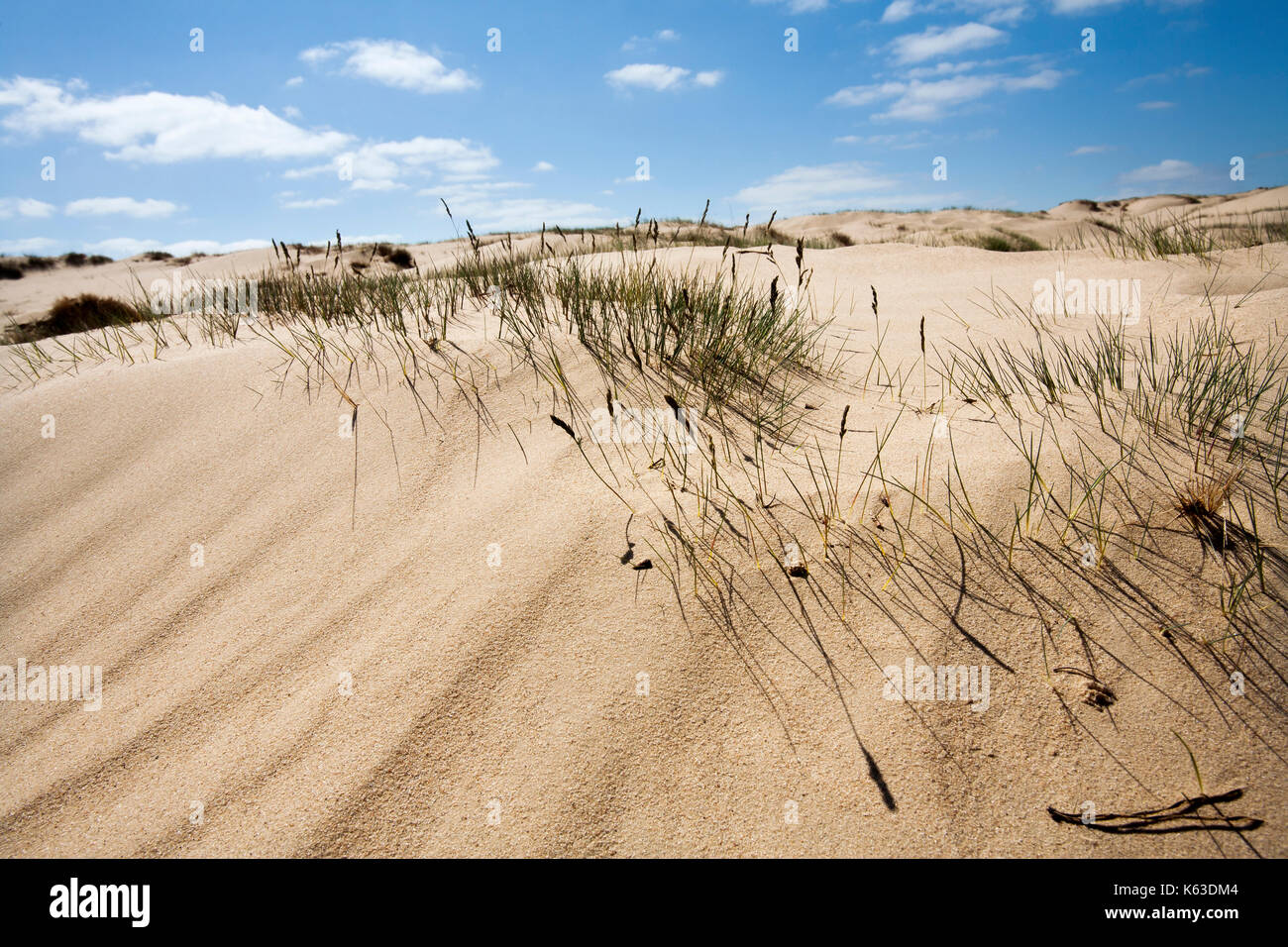 Dune de sable avec un peu d'herbe et un beau ciel bleu avec quelques nuages Banque D'Images