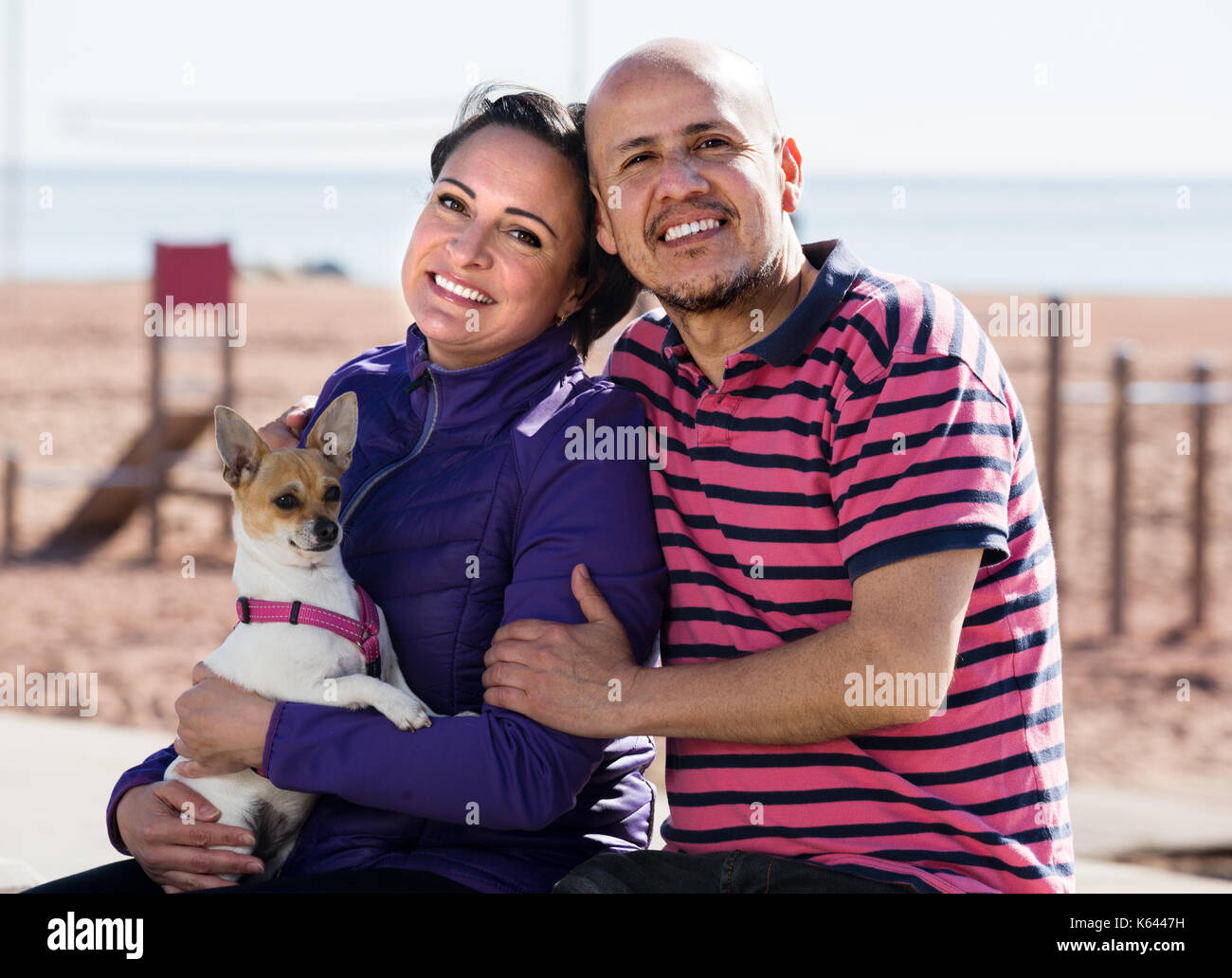 Portrait d'un homme et une femme et leur chien chihuahua sur la plage Banque D'Images