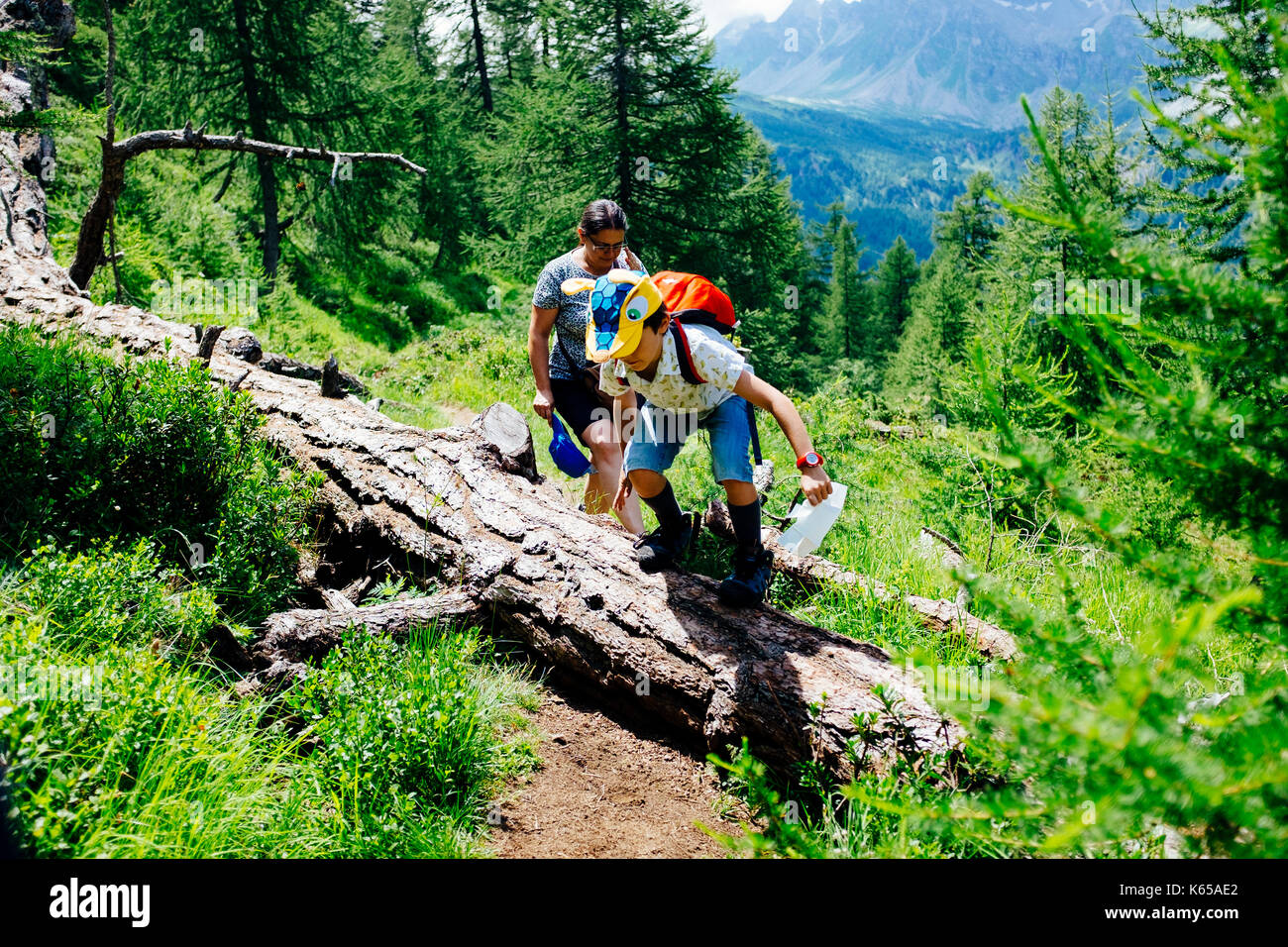 Famille sur une randonnée alpine à pied sur un chemin difficile Banque D'Images