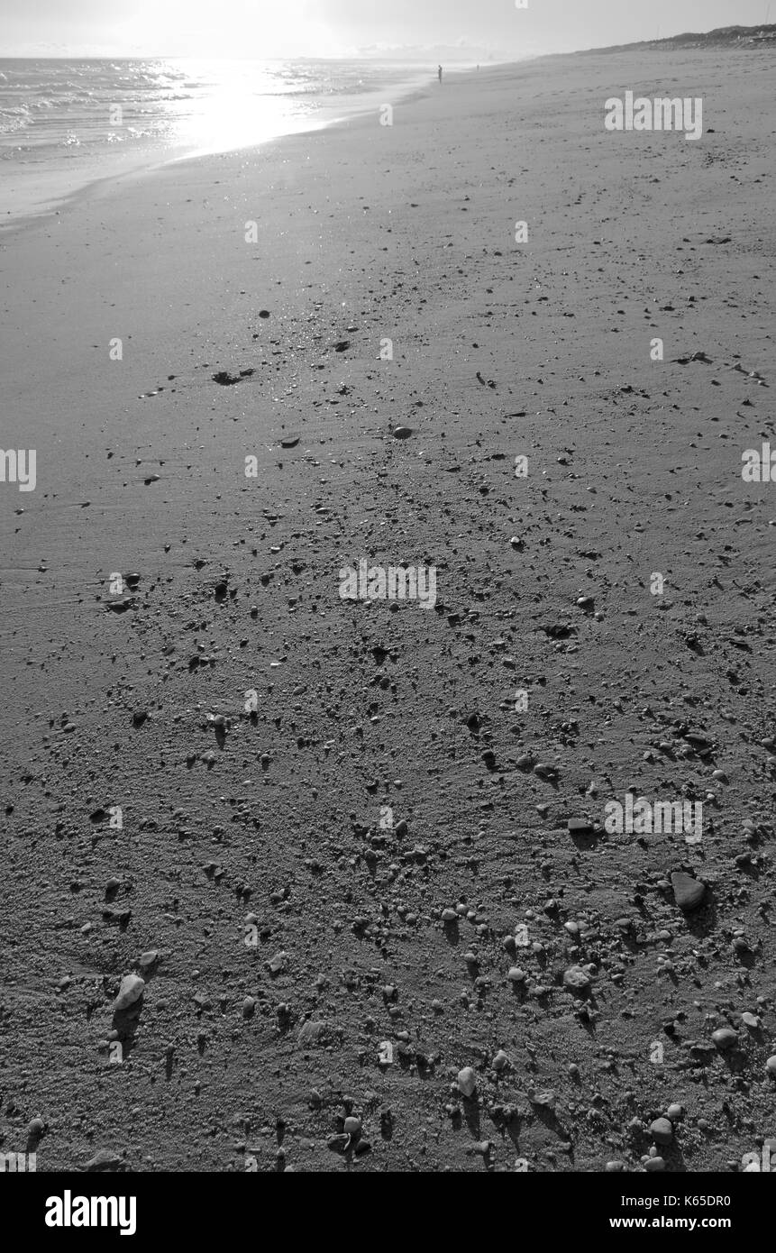 Du sable et des petits cailloux et des coquillages pendant le coucher du soleil Banque D'Images