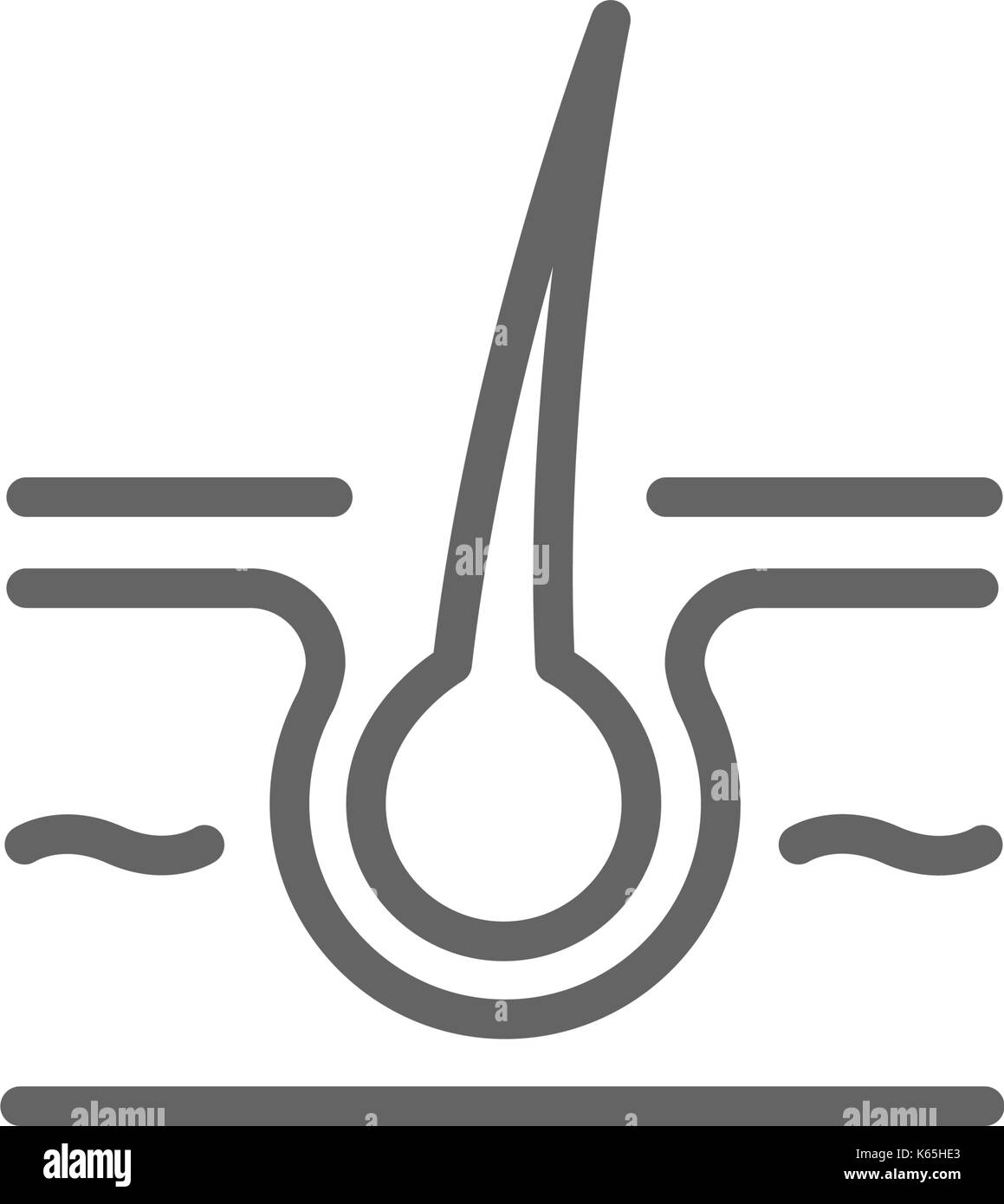 Peau et cheveux simple icône ligne. symbole et signe la conception d'illustration vectorielle modifiable. avc. isolé sur fond blanc Illustration de Vecteur Peau et cheveux simple icône ligne. symbole et signe la conception d'illustration vectorielle modifiable. avc. isolé sur fond blanc Illustration de Vecteur