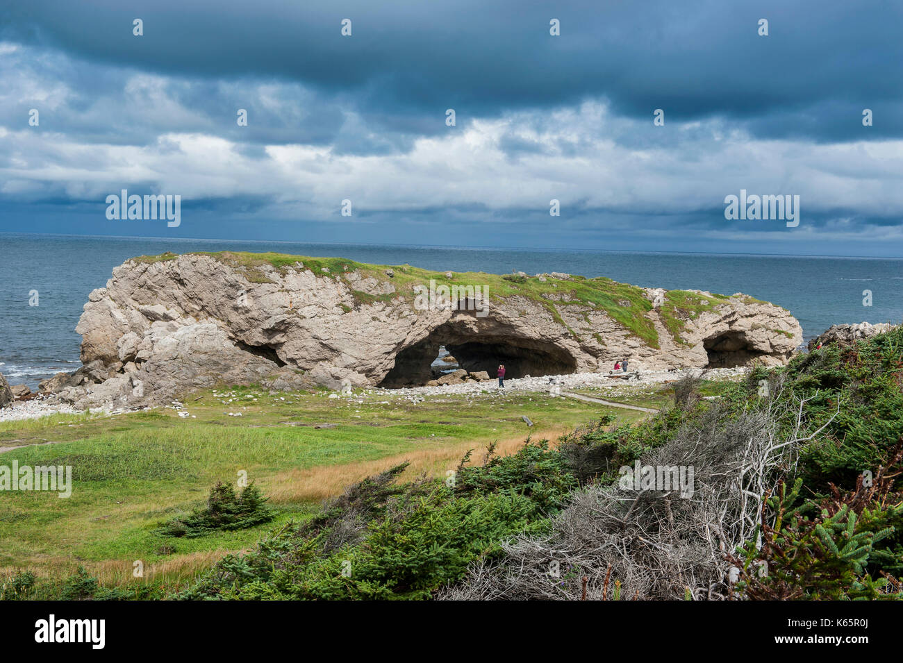 Grande Arche, Natural Bridges State Park, Newfoundland, canada Banque D'Images