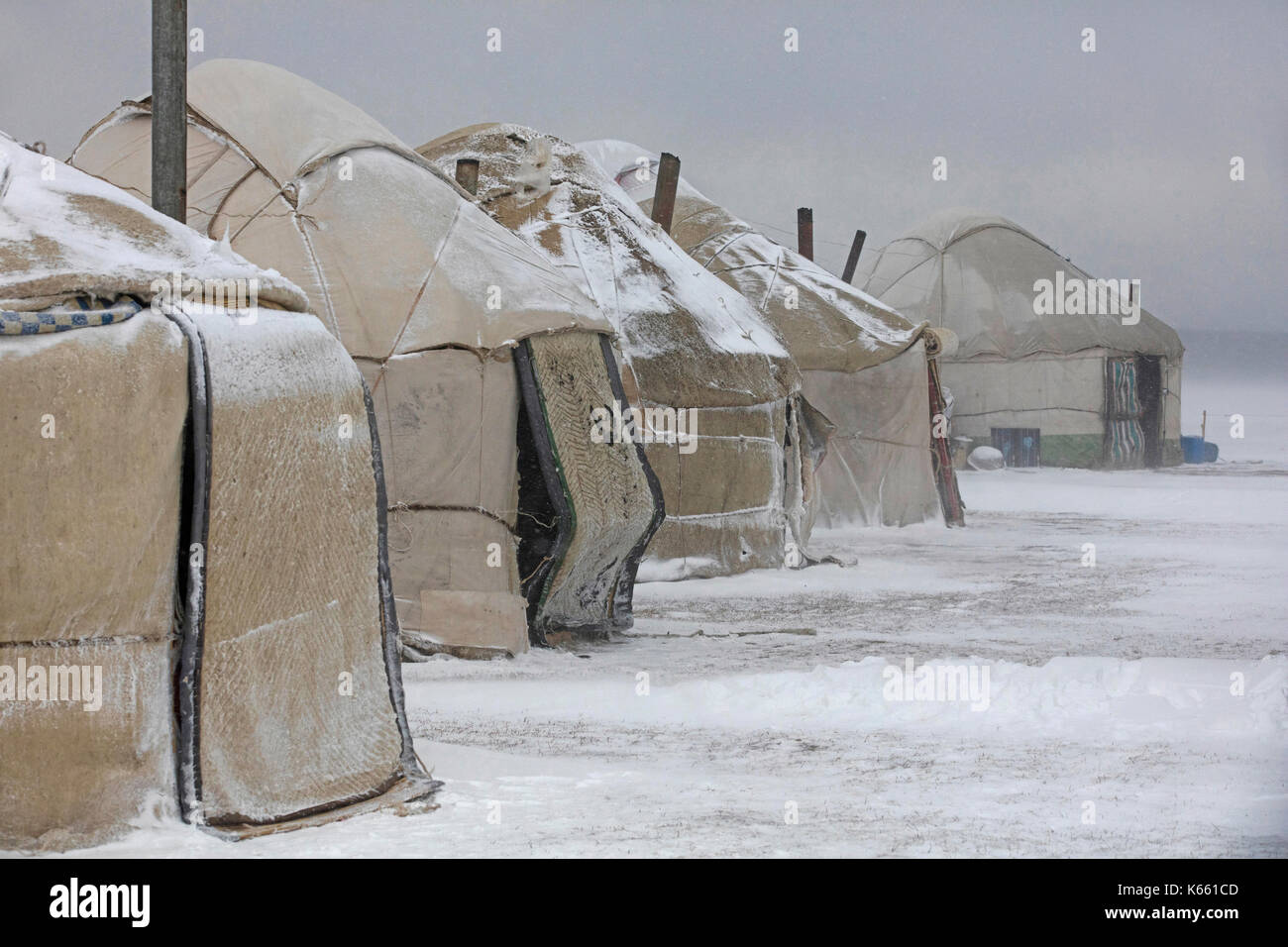 Yourtes dans le camp traditionnel de yourtes kirghizes pendant la tempête de neige le long du lac Song Kul / Song Kol dans les montagnes Tian Shan, province de Naryn, Kirghizistan Banque D'Images Yourtes dans le camp traditionnel de yourtes kirghizes pendant la tempête de neige le long du lac Song Kul / Song Kol dans les montagnes Tian Shan, province de Naryn, Kirghizistan Banque D'Images