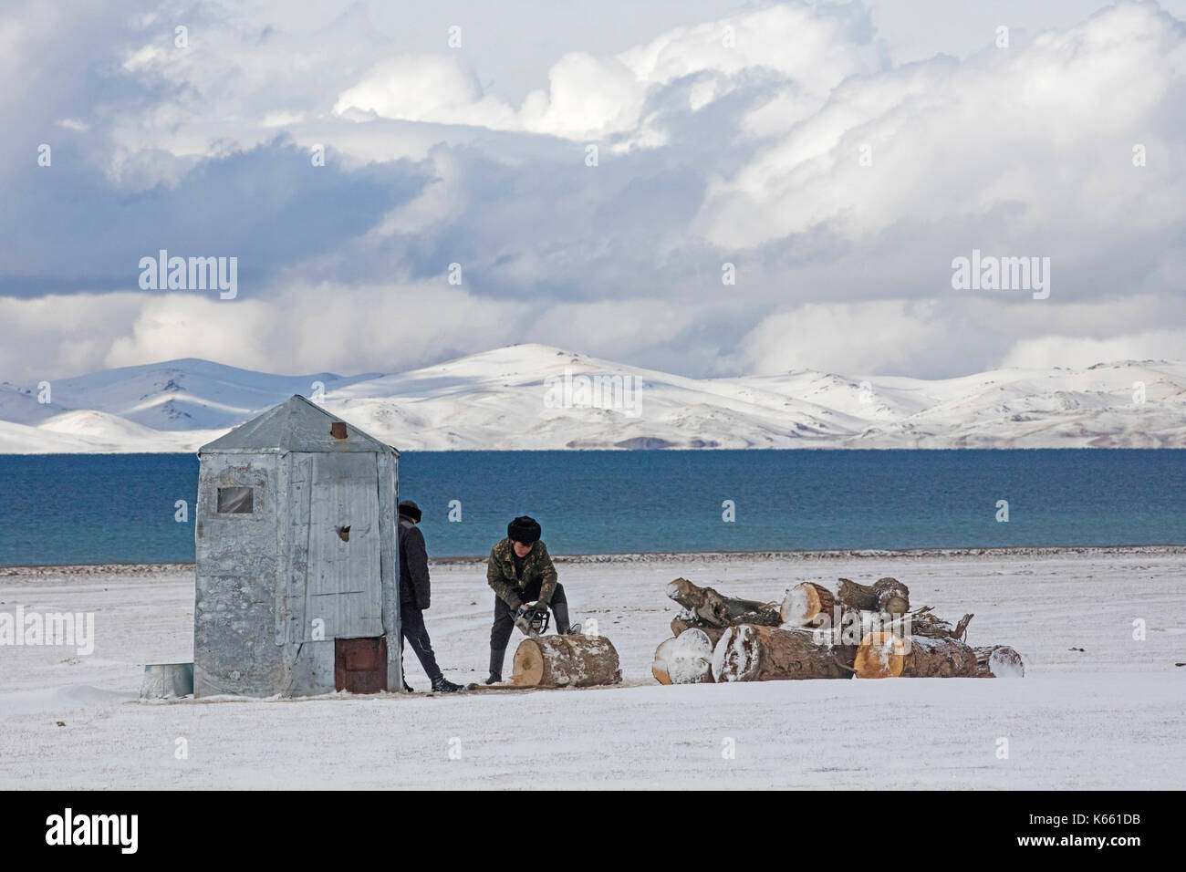 Des hommes kirghizes coupent du bois avec une tronçonneuse dans la neige le long du lac Song Kul / Song Kol dans les montagnes Tian Shan, province de Naryn, Kirghizistan Banque D'Images