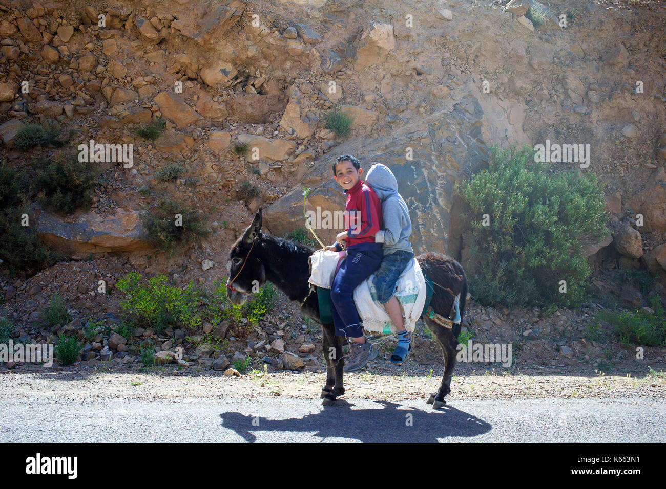 Deux garçons sur un âne au Maroc, l'Afrique du Nord Banque D'Images