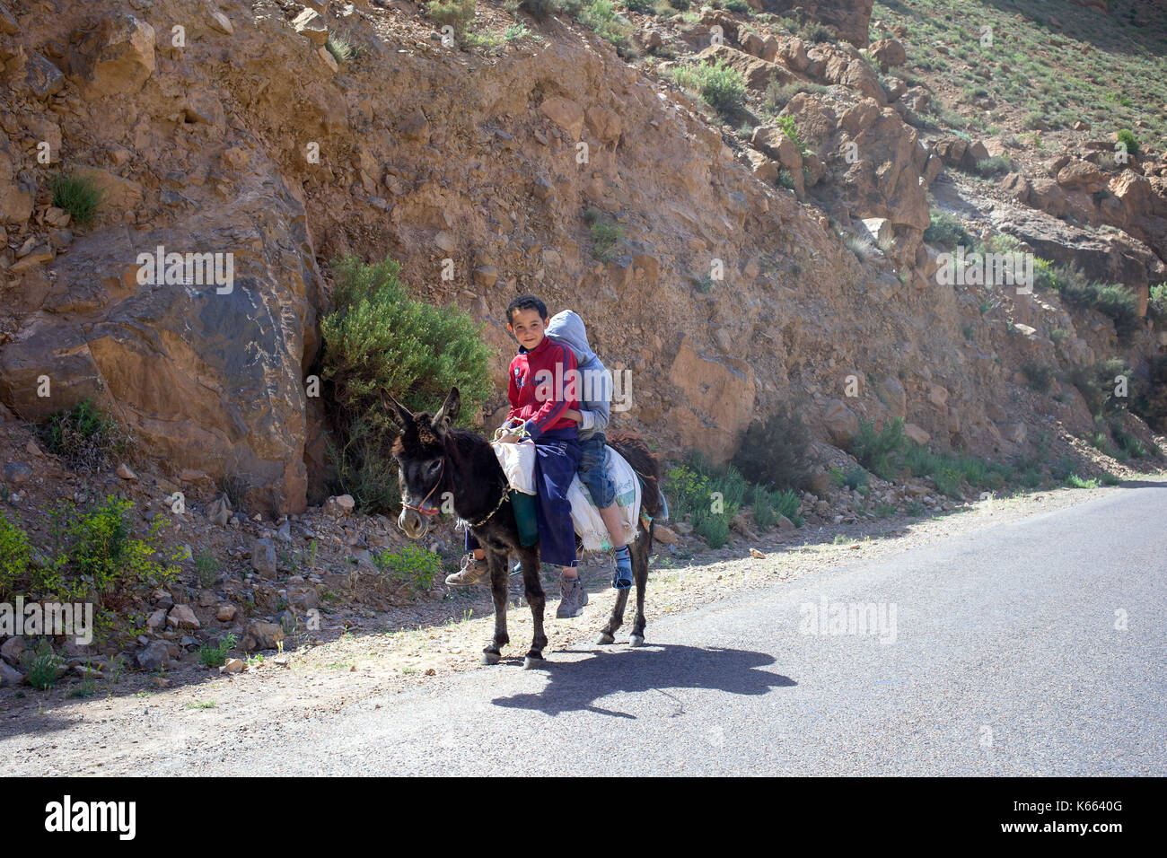 Deux garçons sur un âne au Maroc, l'Afrique du Nord Banque D'Images
