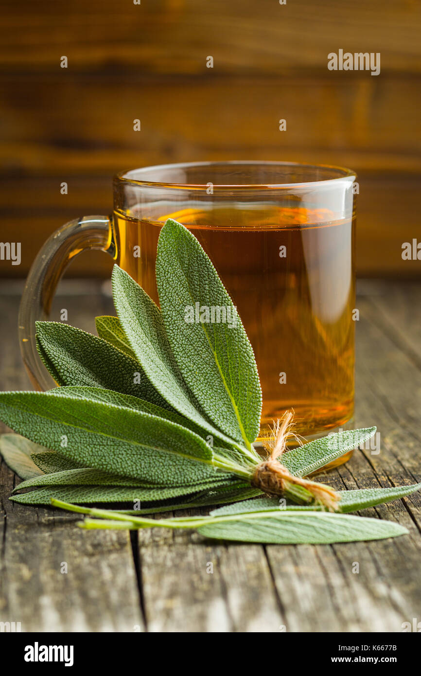 Le thé de sauge et de feuilles de sauge. infusion faite à partir de feuilles de sauge. médicinales Salvia officinalis. Banque D'Images