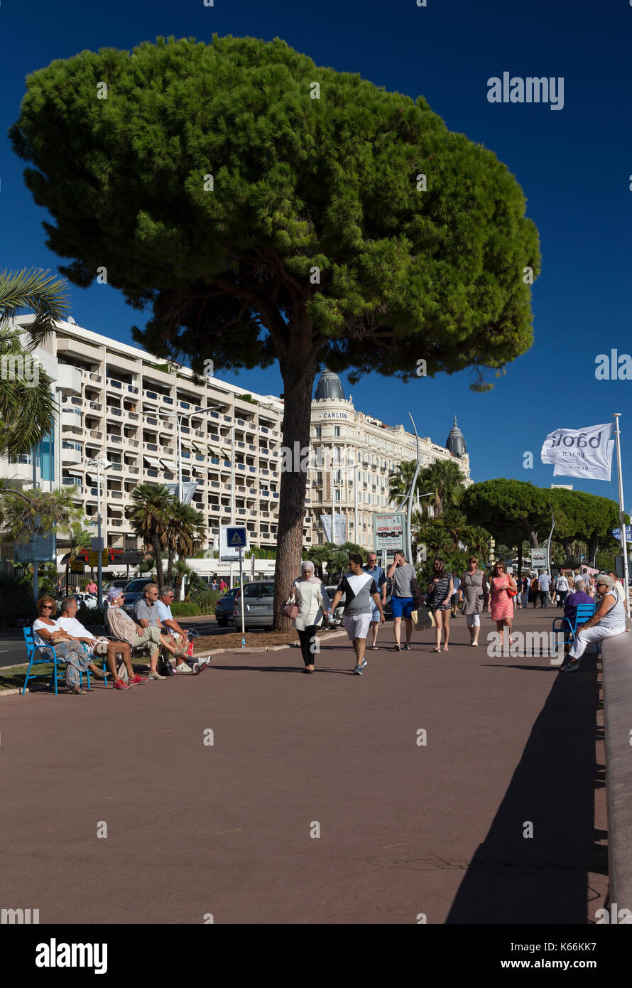 La promenade le long du boulevard de la Croisette, Cannes, France Banque D'Images