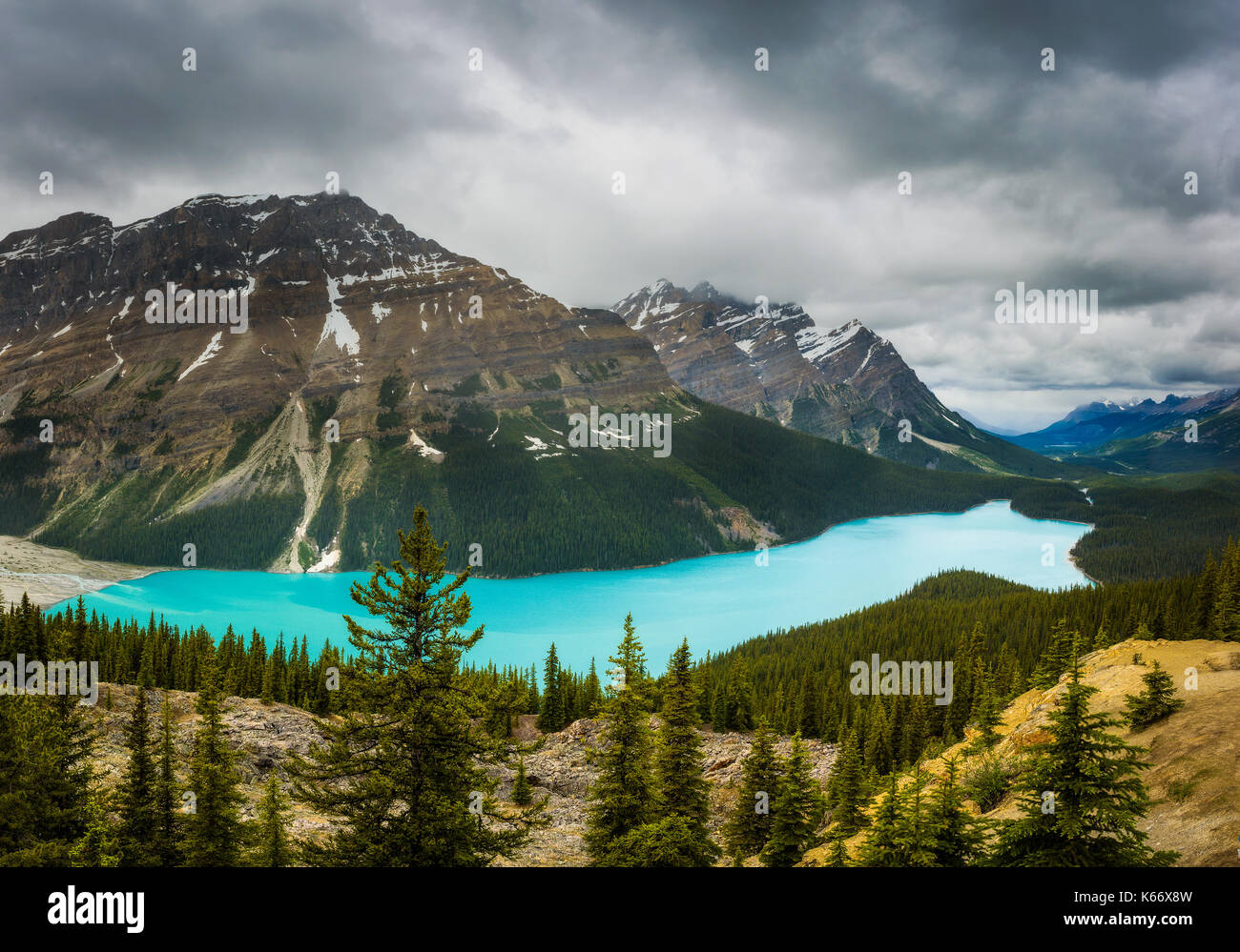 Panorama du lac Peyto. c'est un glacier lac dans le parc national de Banff dans les rocheuses canadiennes. Banque D'Images