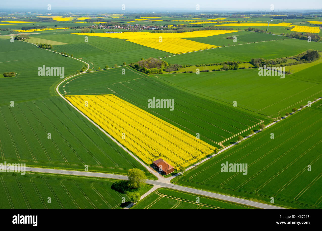 Champs de canola sur la commune frontière entre Rüthen, Warstein-Bélec et Anröchte, agriculture, ancienne grange, champs, prairies, champs, Rüthen, Sauerland, non Banque D'Images