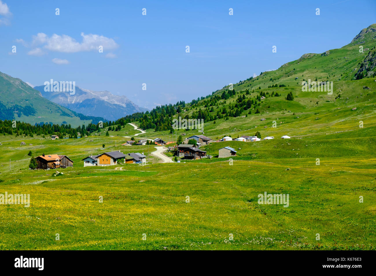 Prairies verdoyantes, buissons, fermes et pistes de montagne à Alp Flix Banque D'Images