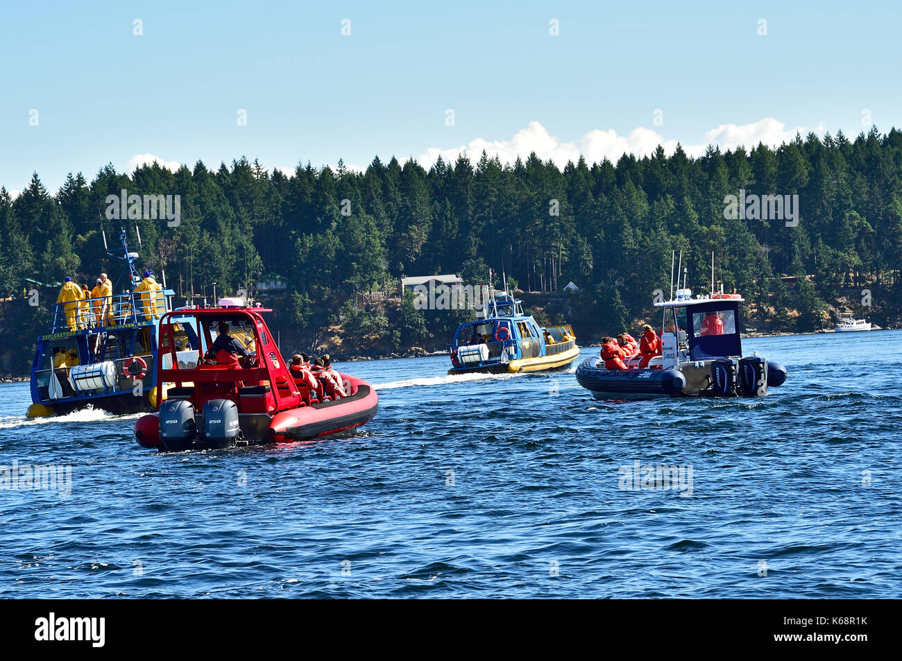 Un groupe de bateaux d'observation des baleines à la suite d'un pod d'orques entre les îles du golfe, dans le détroit de Georgis près de l'île de Vancouver Colombie-Britannique Cana Banque D'Images