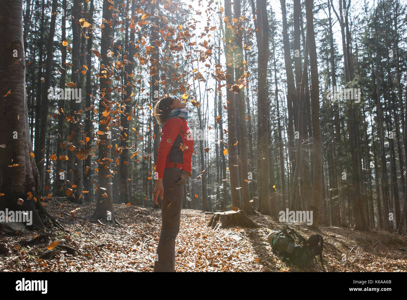 Randonneur femme athlétique appréciant la nature, Jeter feuilles en automne forêt ensoleillée. amoureux de la nature, mode de vie actif, le bonheur et l'amusement concept. Banque D'Images