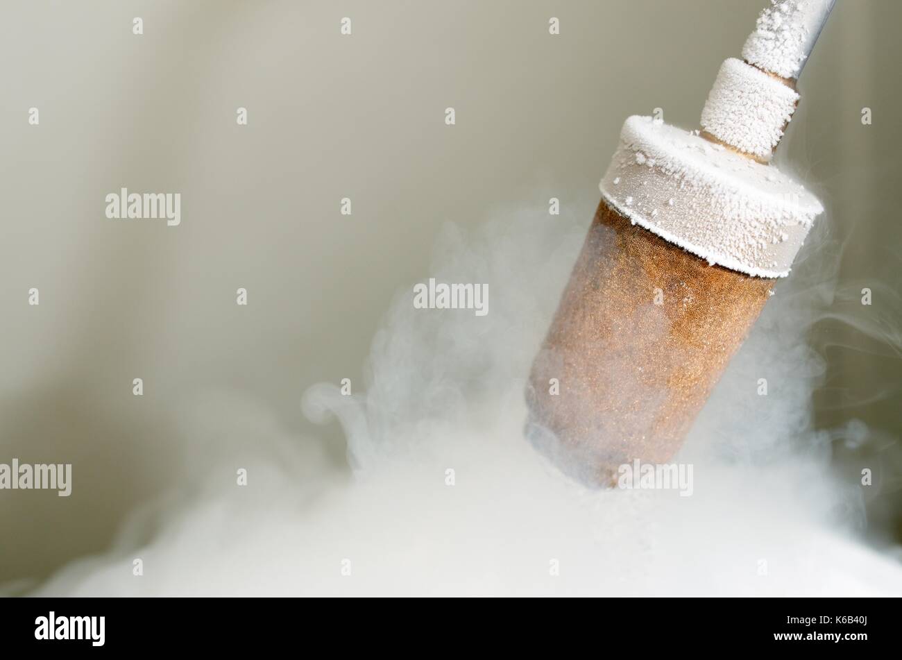 Libre d'un transfert d'azote liquide. Banque D'Images