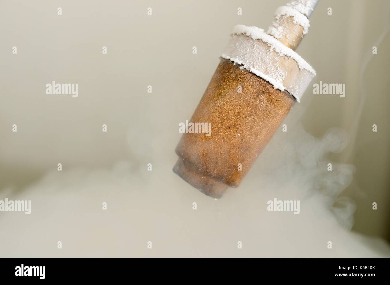 Libre d'un transfert d'azote liquide. Banque D'Images