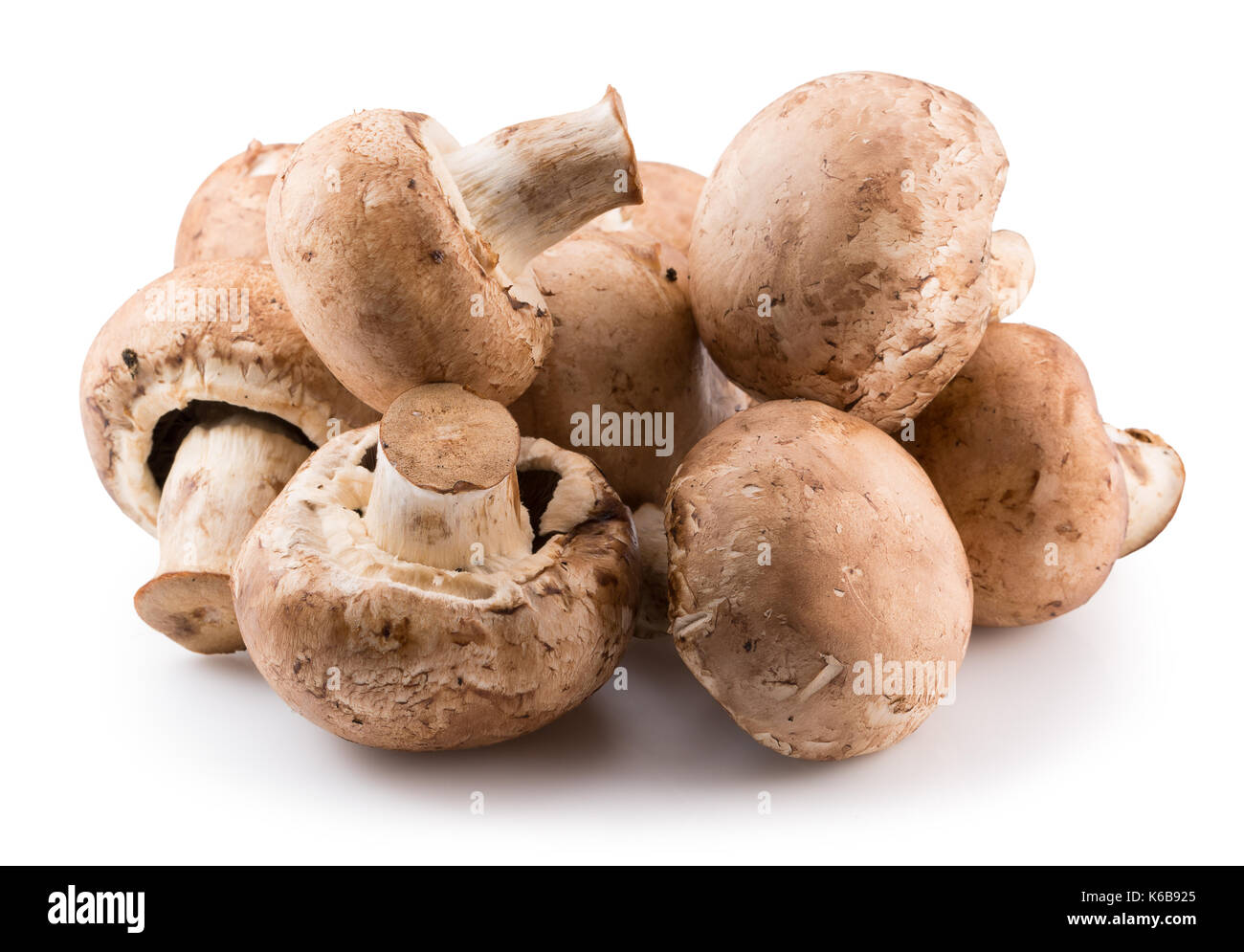 Champignons blanc isolé sur fond blanc. Banque D'Images
