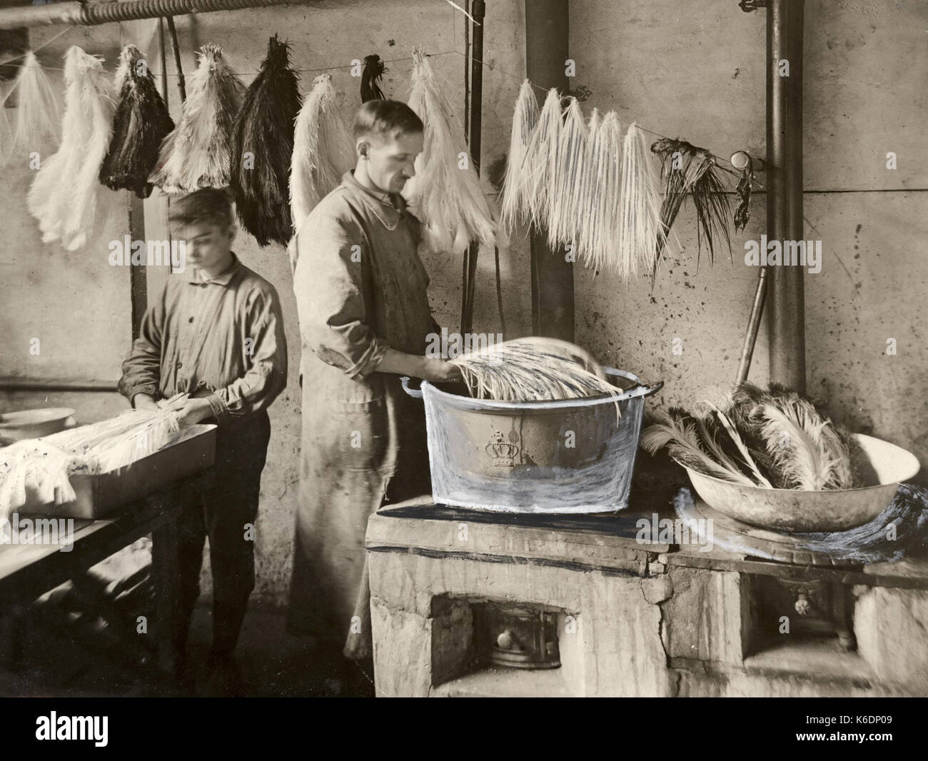 Teinture des plumes d' autruche 1919 Banque D'Images