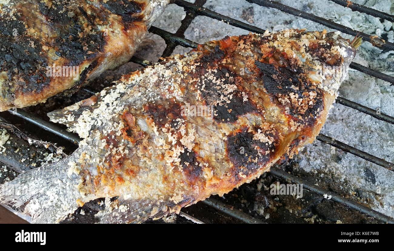 La peau brûlée en croûte de sel le poisson Tilapia grillé sur charbon de bois et l'alimentation de rue en Thaïlande Banque D'Images
