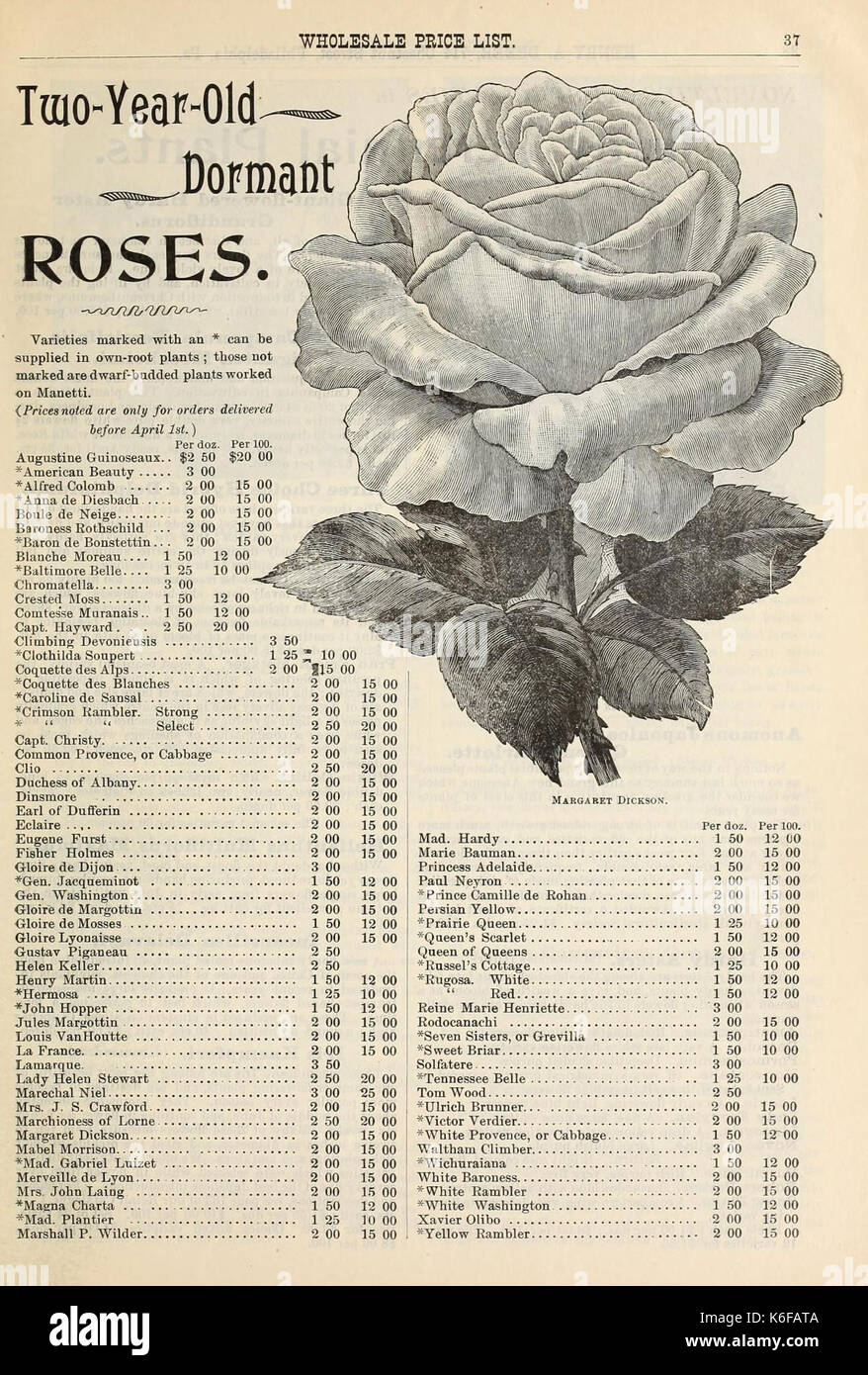 Dreer's quarterly Liste des prix de gros de semences de légumes bulbes graines de fleurs plantes aquatiques plantes décoratives difficile met en œuvre des outils, etc., etc. (16373989660) Banque D'Images