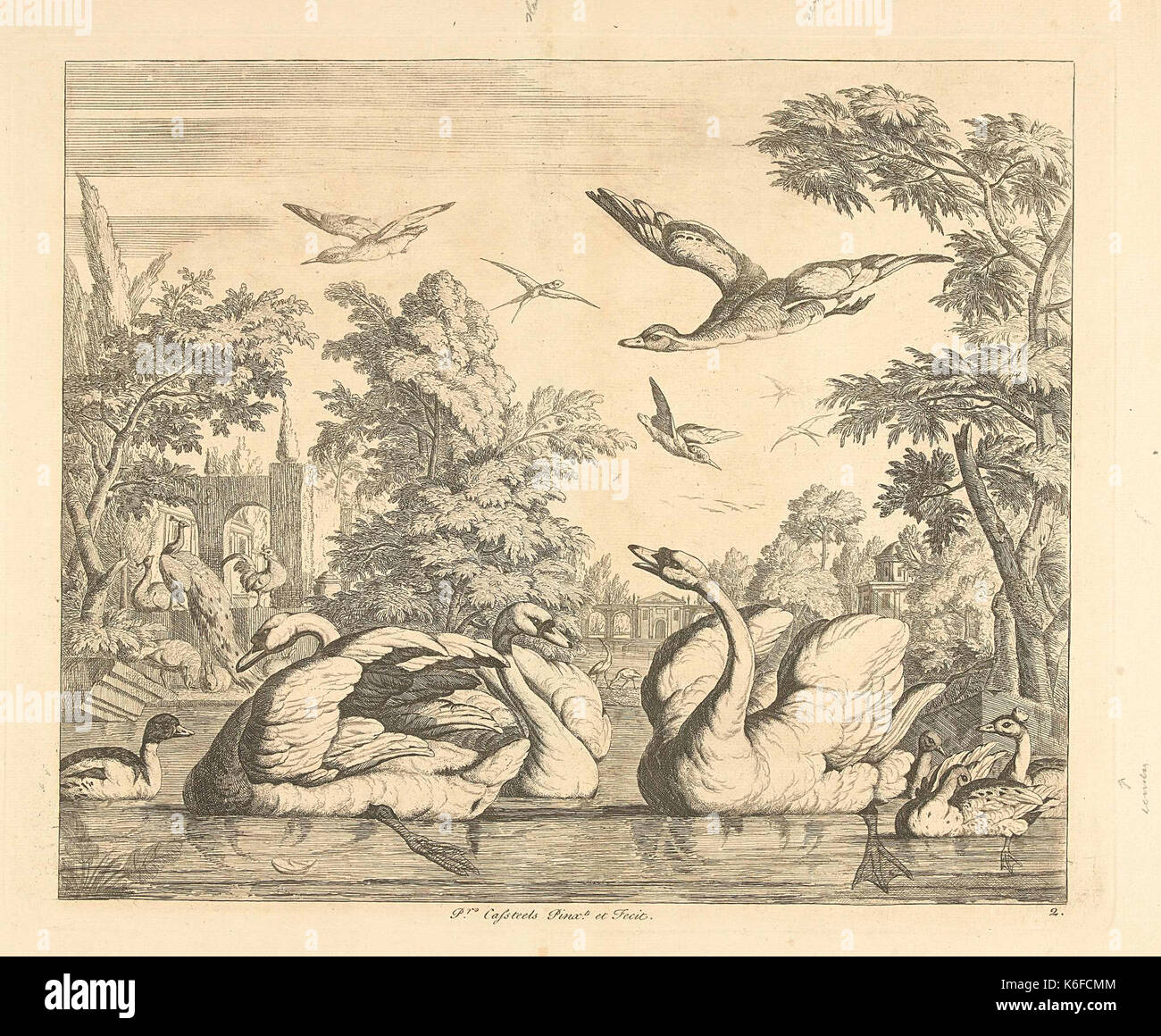 Une représentation de trois cygnes et autres oiseaux près d'un étang, mettant l'accent sur la beauté naturelle et la faune d'un cadre extérieur serein. Banque D'Images