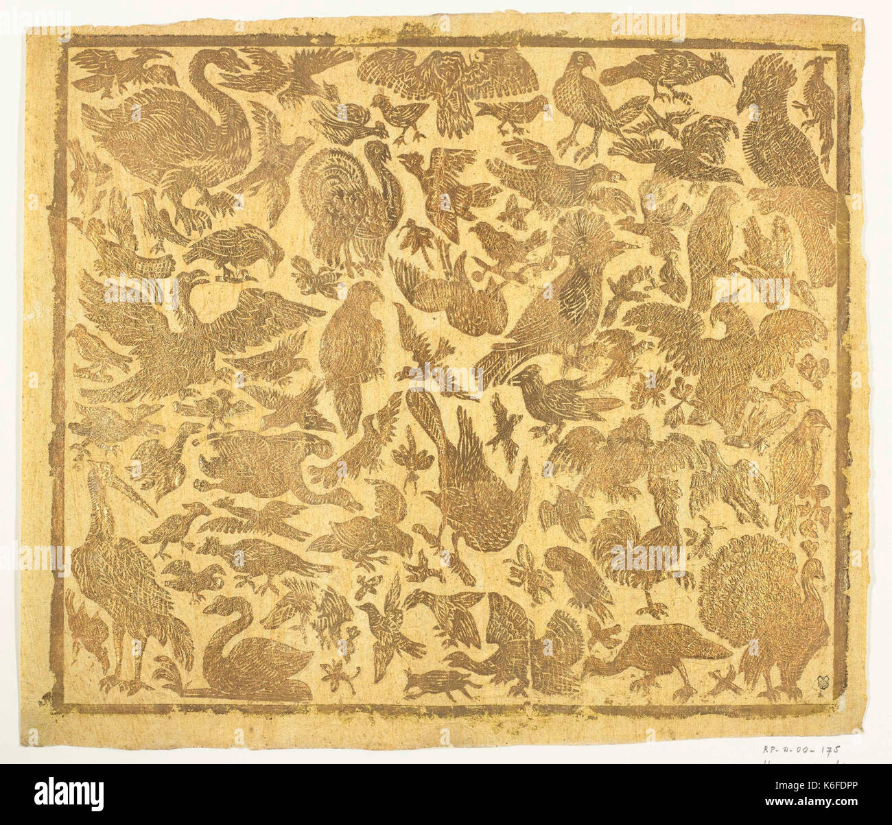 Blad rencontré vogels, linksboven rechtsboven kaketoe, Vogel, duikende rechtsonder linksonder Vogel, pauw Banque D'Images