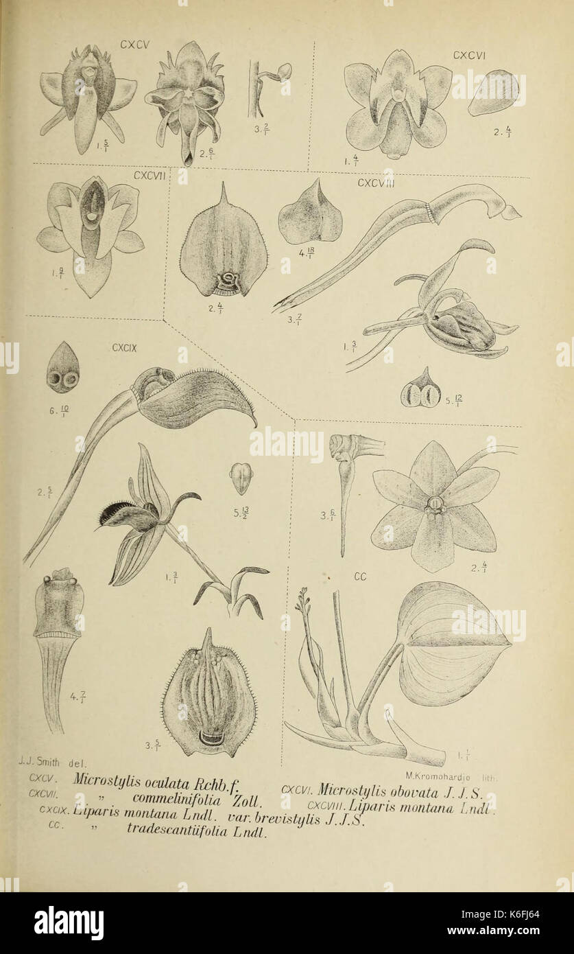 Monochapelle Die von Java fig. 195 200 (1910) Banque D'Images