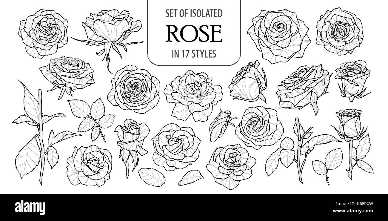 Ensemble de rose isolé dans 17 styles. cute flower illustration dans un style dessiné à la main. présenté en contour noir et blanc avion sur fond blanc. Illustration de Vecteur
