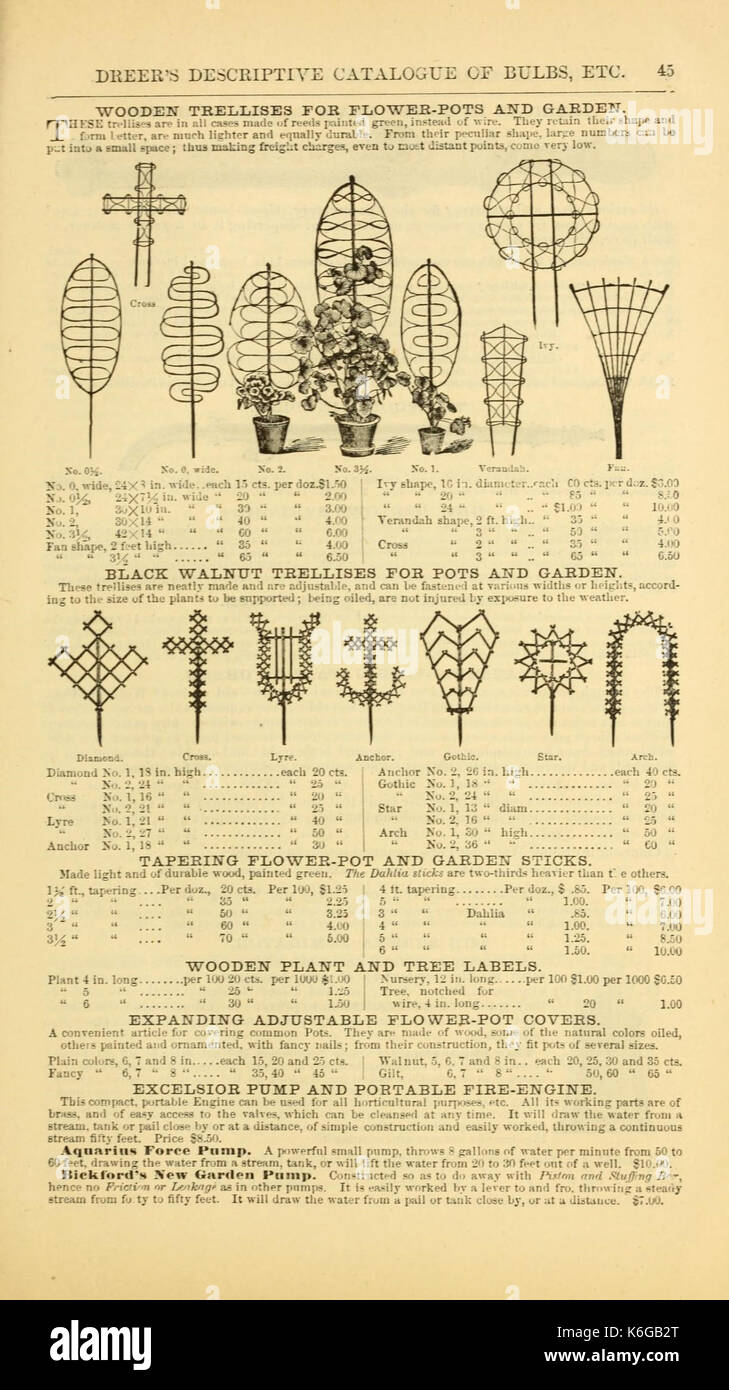 Dreer's catalogue descriptif de bulbes, de plantes, etc. avec des instructions pour la gestion de la culture et de racines bulbeuses (page 45) (16588283530) Banque D'Images