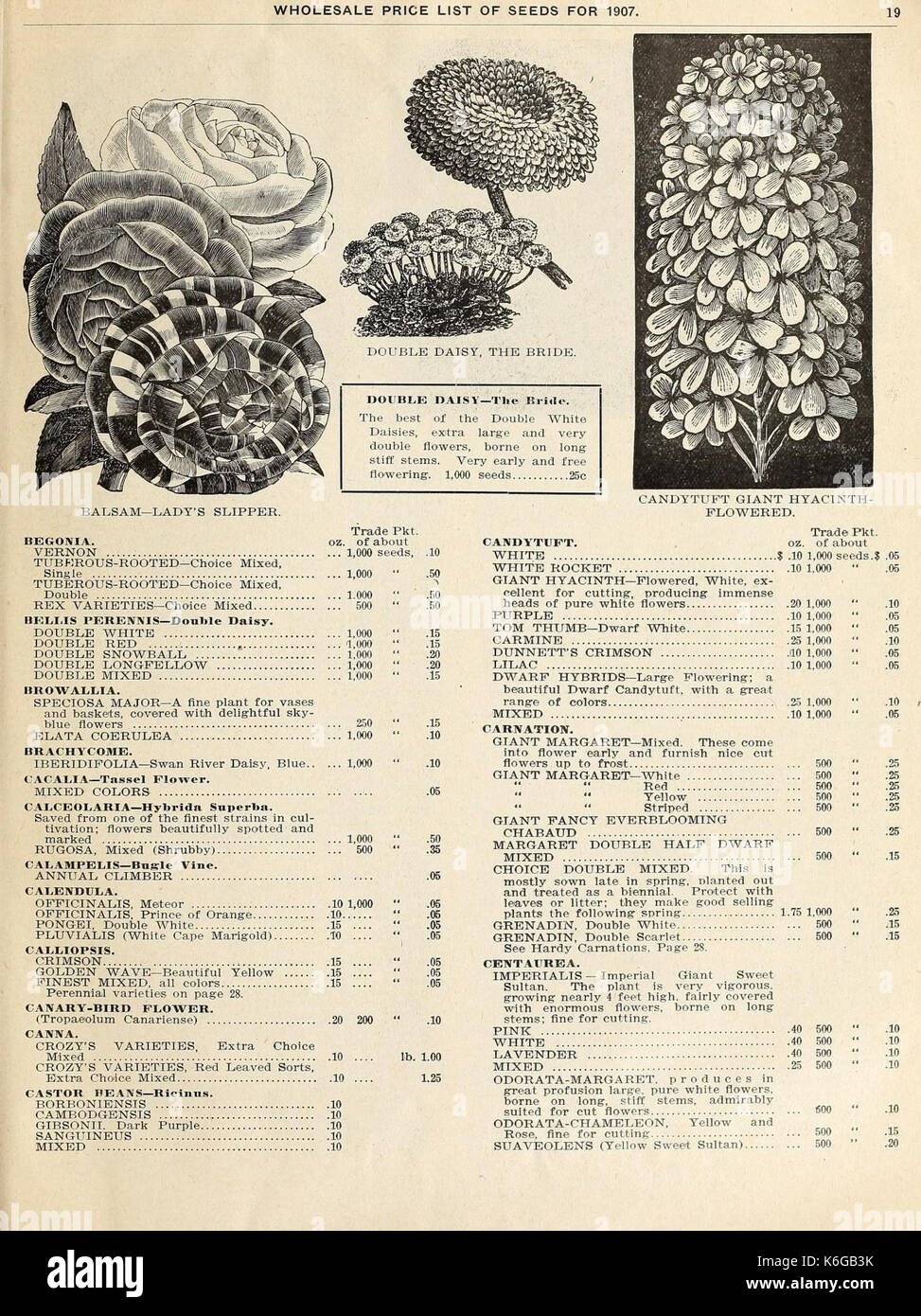 La chalp catalogue général des prix de gros pour les fleuristes, maraîchers et les camionneurs (page 19) (15768773033) Banque D'Images