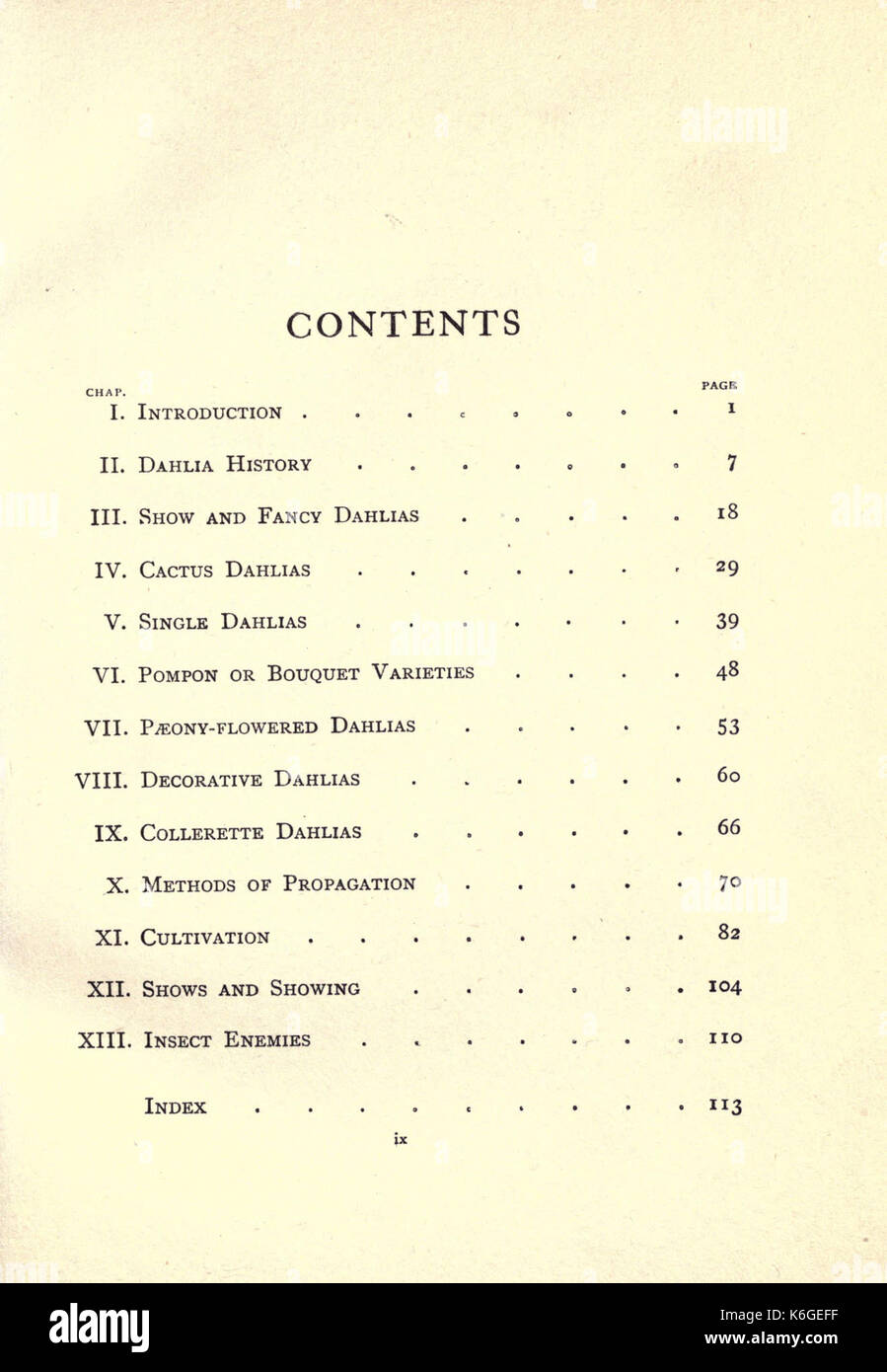 Dahlias BHL18283812 Banque D'Images
