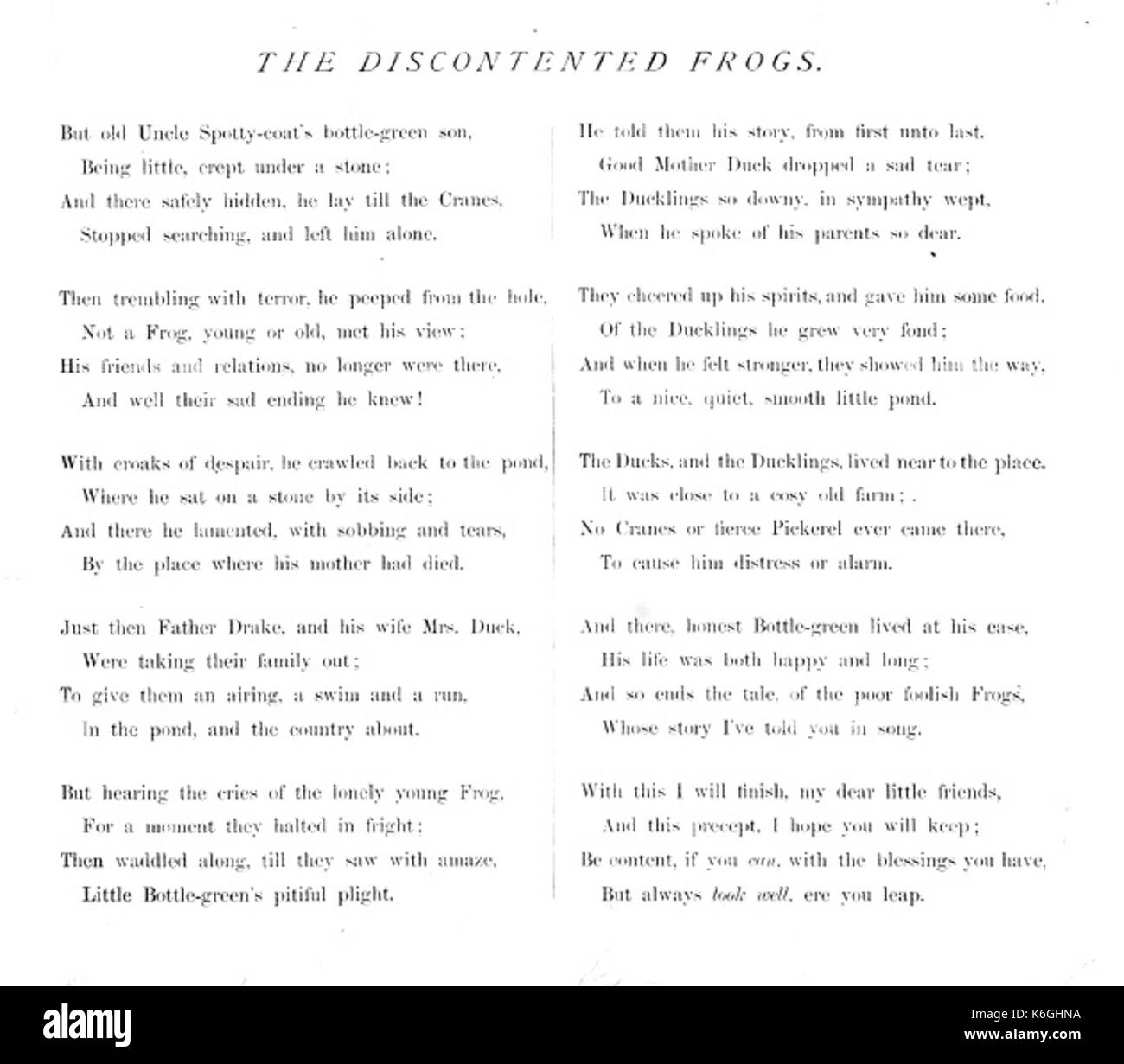 Discontentedfrogs 13 Banque D'Images