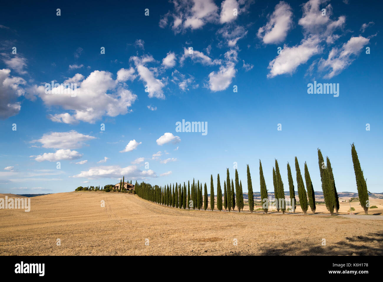 Ciel bleu et nuages blancs moelleux du Poggio covili près de Bagno Vignoni en Toscane, Italie, Europe Banque D'Images