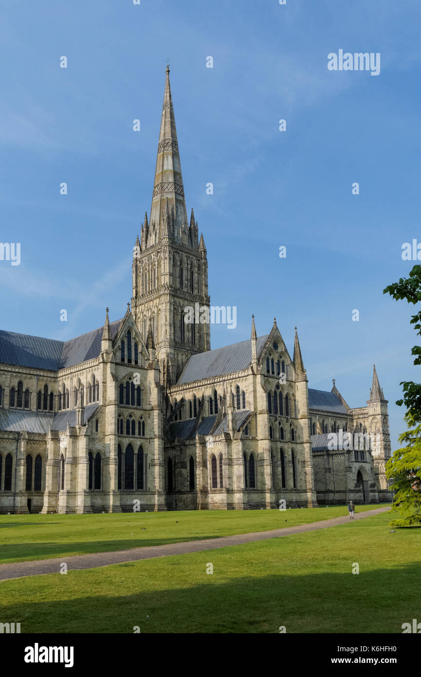 La cathédrale de Salisbury, Wiltshire, Angleterre, Royaume-Uni, UK Banque D'Images