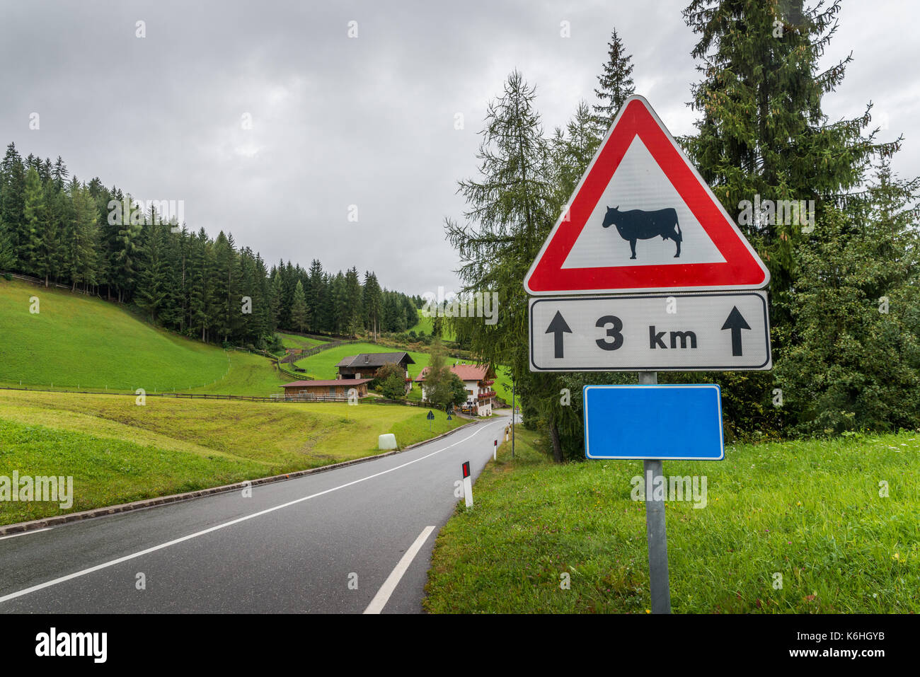 Les conducteurs d'avertissement d'un signe de vaches pour la prochaine 3km. pris dans les Alpes italiennes Banque D'Images
