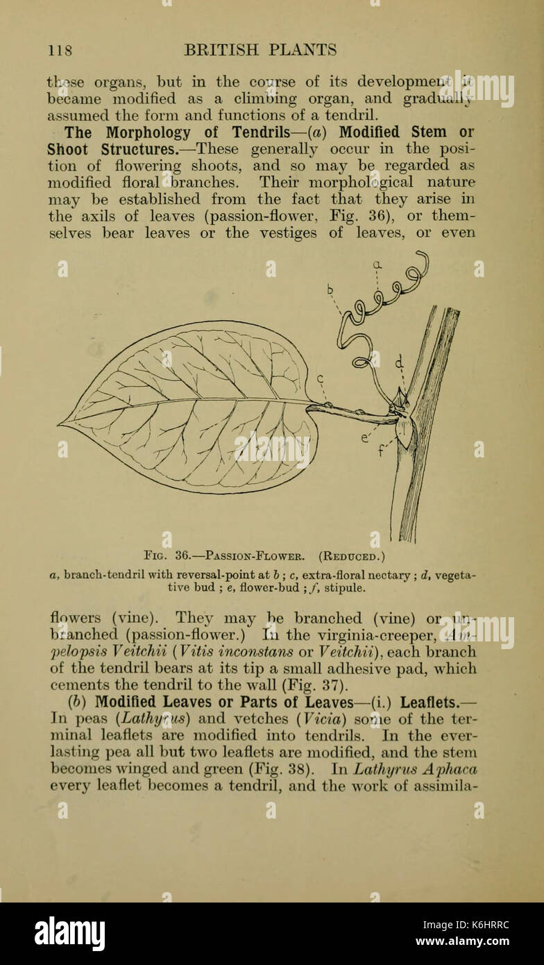 Les usines britanniques (page 118) BHL12807196 Banque D'Images