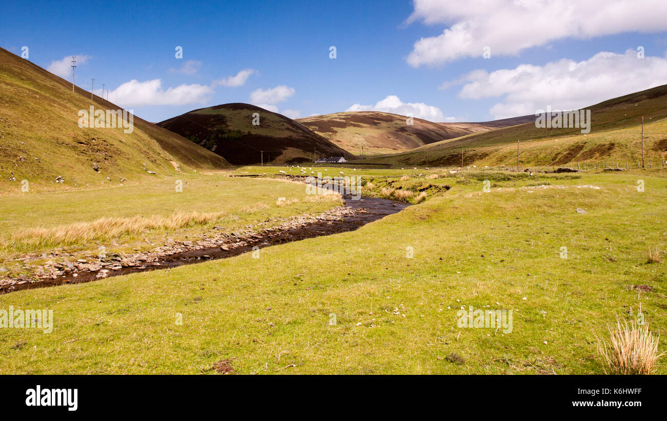 Le leithin l'eau serpente à travers le paysage vallonné des collines près de inverleithin moorfoot en Ecosse de hautes terres du sud. Banque D'Images