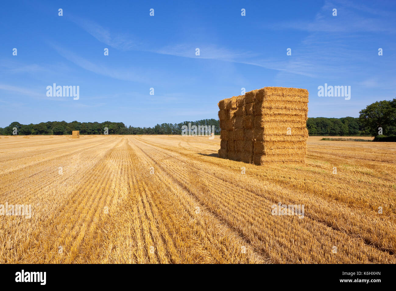 Les modèles et lignes hrvested dans un champ de blé avec une pile de ballots de paille et de bois sous un ciel d'été bleu au yorkshire Banque D'Images