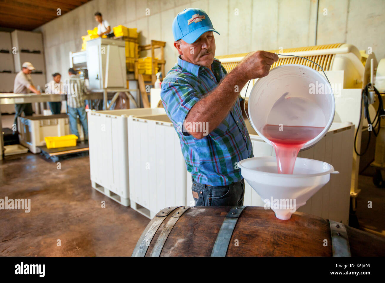 Ouvrier au vignoble versant du vin dans un fût, Delaplane, Virginie, États-Unis Banque D'Images