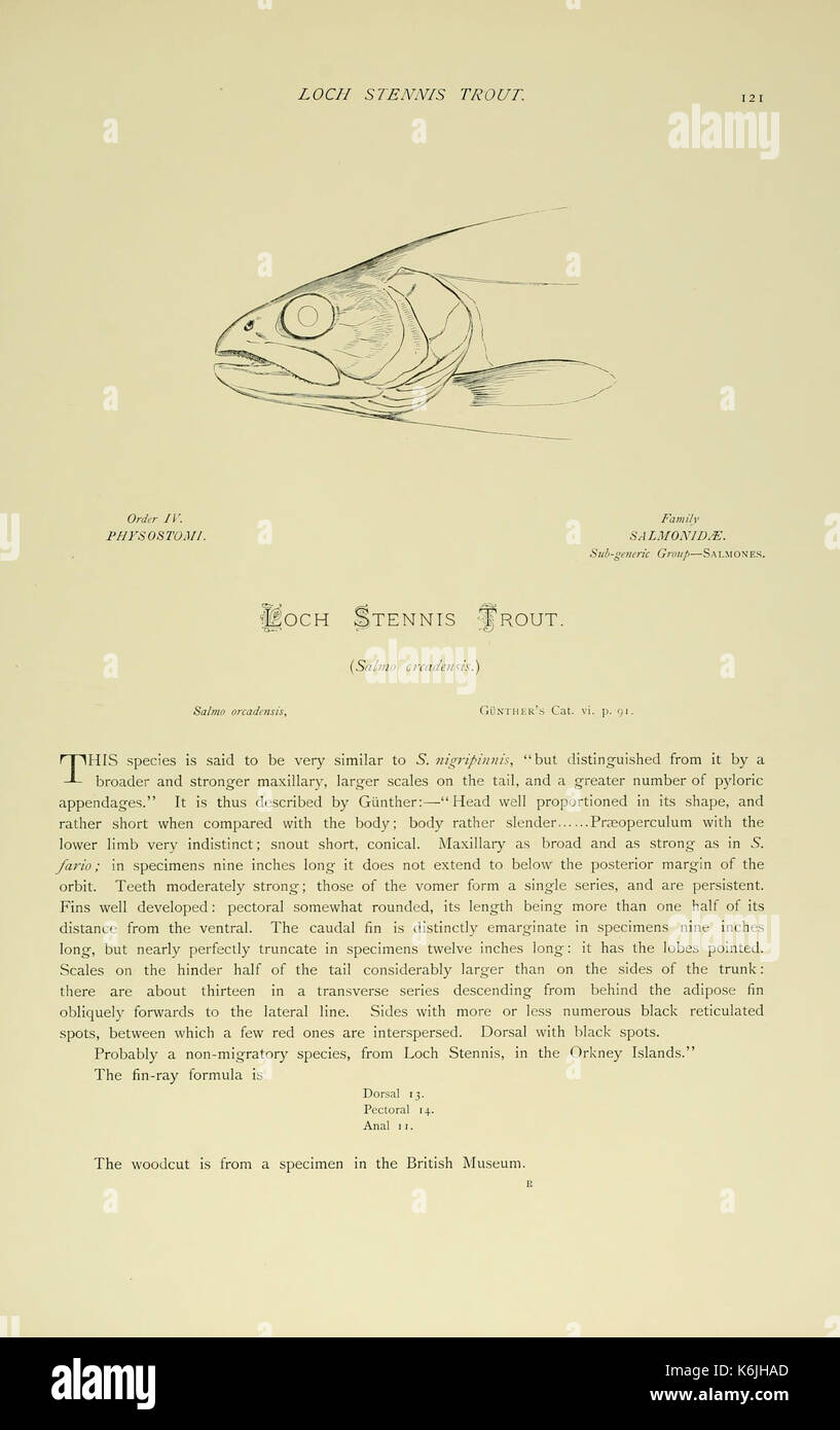 Les poissons d'eau douce britannique (page 121, Fig. dans le texte) BHL6175037 Banque D'Images