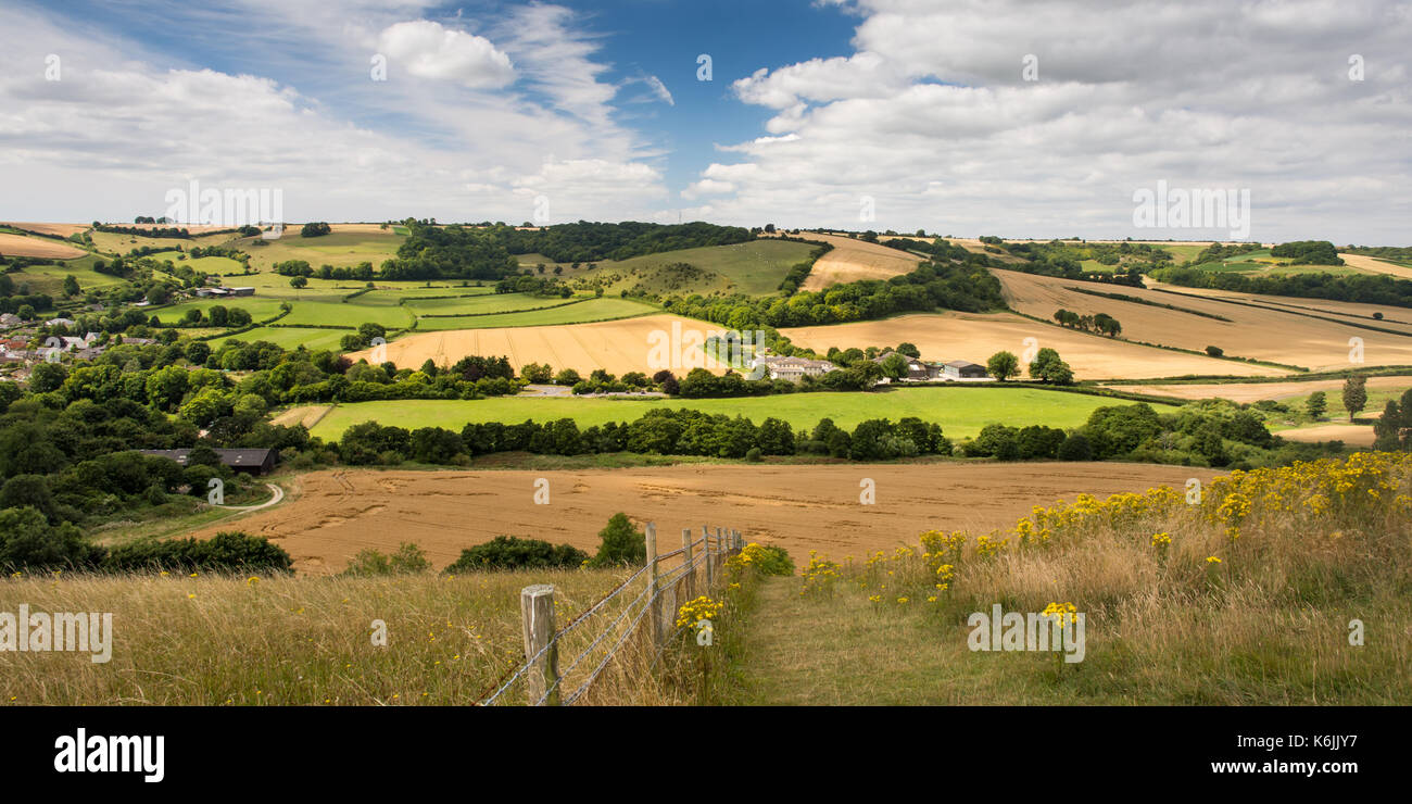 Champs de cultures et des pâturages dans la vallée de cerne, niché dans le paysage vallonné de l'Angleterre de la Dorset Downs. Banque D'Images
