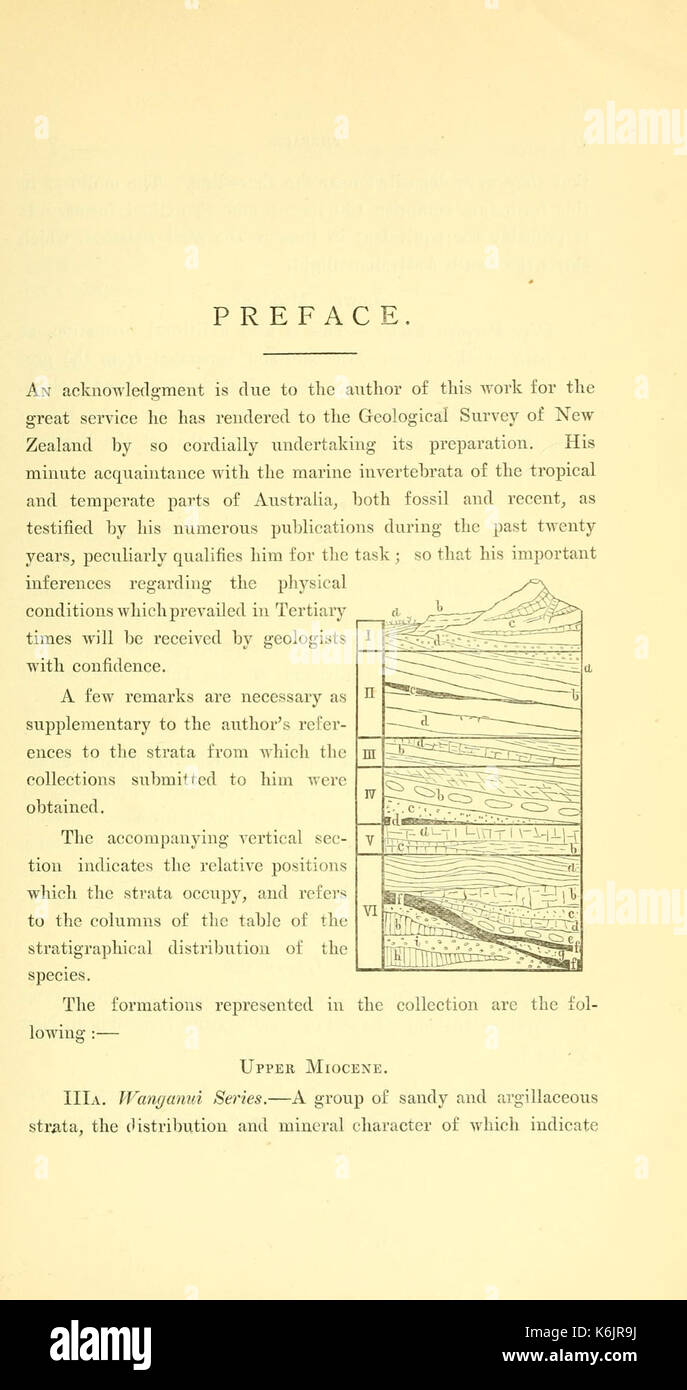 Les coraux et les bryozoaires de la période neozoic en Nouvelle Zélande (page v, fig. dans le texte) bhl13821146 Banque D'Images