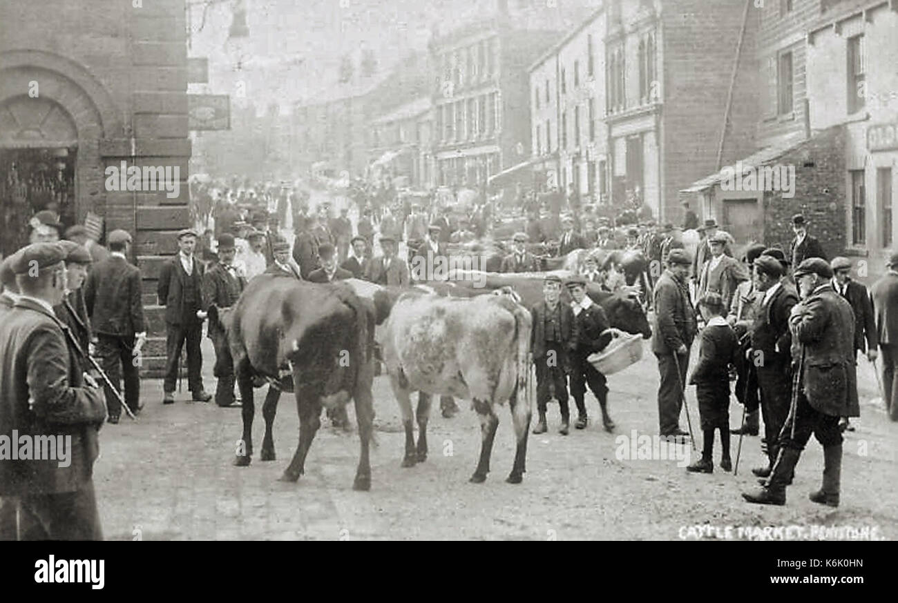 Marché au bétail Penistone West Riding of Yorkshire Angleterre avant 1914 Banque D'Images