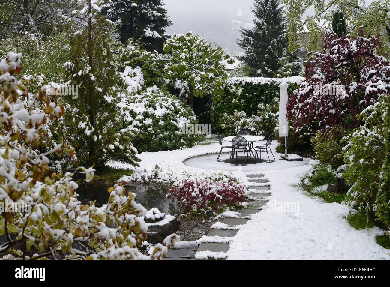 Un jardin en hiver avec de la neige Banque D'Images