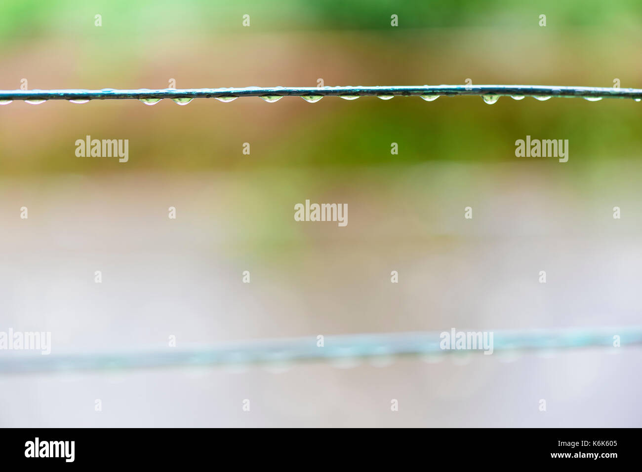 Gouttes de pluie sur un fil Banque D'Images