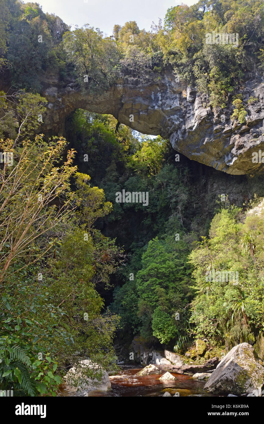 Une arche en pierre calcaire est suspendu à 40 mètres au-dessus de l'Oparara River près de Karamea, côte ouest de la Nouvelle-Zélande. Banque D'Images